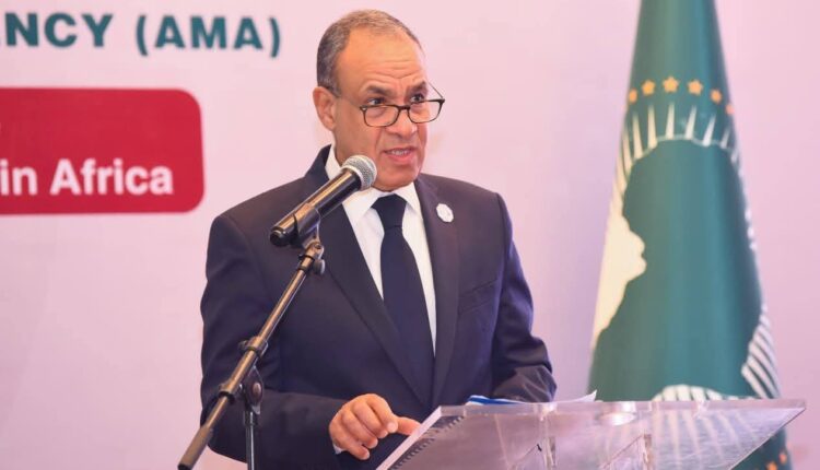 وزير الخارجية يطرح رؤية مصر الشاملة لتعزيز التصنيع الدوائي والأمن الصحي في أفريقيا