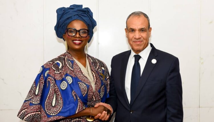 وزير الخارجية: حريصون على تيسير دعم مشروعات تطوير البنية التحتية في أفريقيا