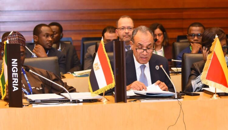 وزير الخارجية يشارك في اجتماع لجنة رؤساء الدول والحكومات الأفارقة المعنية بتغير المناخ