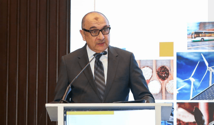 شيمي: جهود تطوير شركات قطاع الأعمال سرعت وتيرة إنجاز المشروعات وجودة التنفيذ