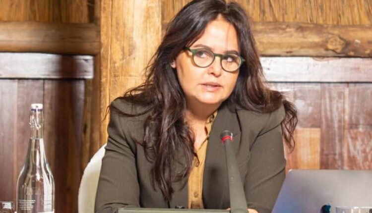 هبة سلامة الرئيس التنفيذي للوكالة الإقليمية للاستثمار التابعة للكوميسا