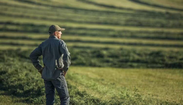 حرب إيران ترفع الأسعار على المزارعين الأمريكيين