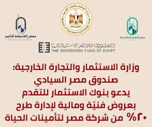 sandok-misr-elseyady-300×250