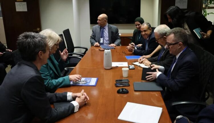 وزير الخارجية يبحث مع وكالة ضمان الاستثمار تعزيز التعاون وجذب التمويل الأجنبي