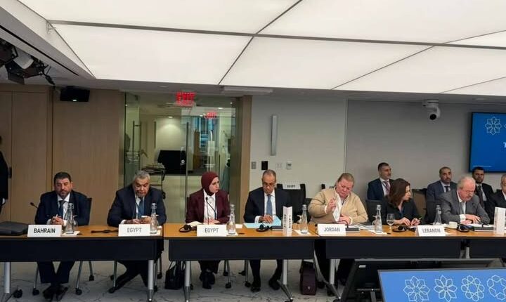 وزير الخارجية: ارتفاع أسعار الطاقة والتضخم يفاقم الأزمات العالمية