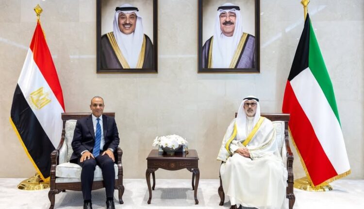 وزير الخارجية يشدد على تفعيل العمل العربي المشترك لمواجهة التحديات