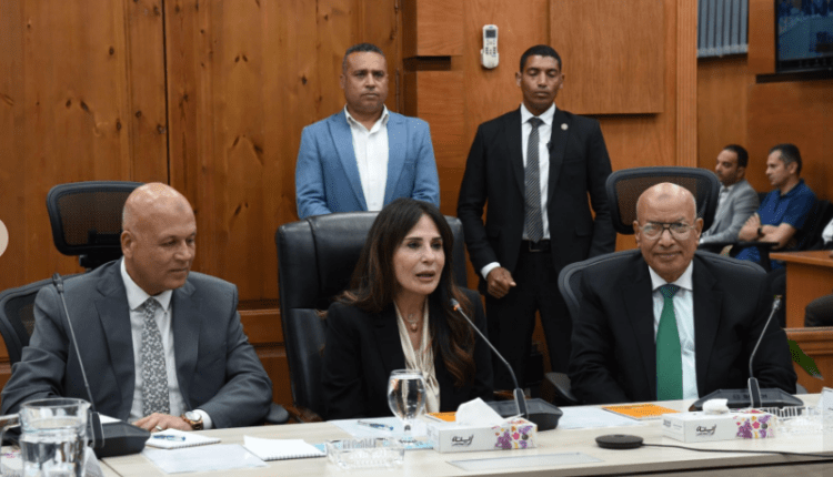 وزيرة الإسكان: التوسع في الشراكة مع القطاع الخاص بمشروعات التحلية والصرف