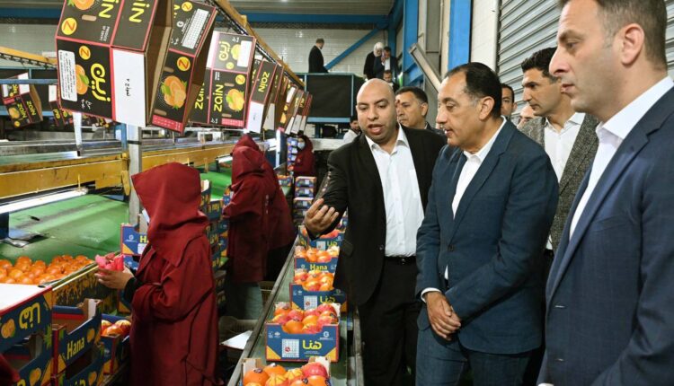 تصدر بقيمة 20 مليون دولار سنويا.. رئيس الوزراء يتفقد محطة الصواف لتعبئة الموالح ببنها