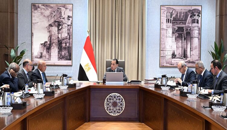 الحكومة: مجموعة عمل لتولي وضع آليات تعزيز التعاون التجاري والاستثماري مع إفريقيا