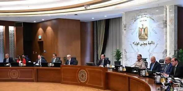 الحكومة تحدد اختصاصات نائب وزير الخارجية للشئون الأفريقيةتحدد اختصاصات نائب وزير الخارجية للتعاون الدولي لتعزيز علاقات التمويل والتنمية