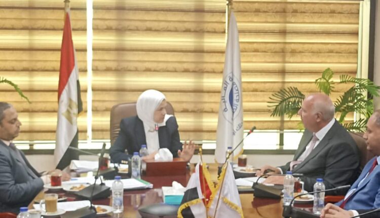 رشا عبد العال: نعمل على بناء البروفايل الضريبي المتكامل للممول لتحقيق دقة أكبر وتقليل التدخل البشري