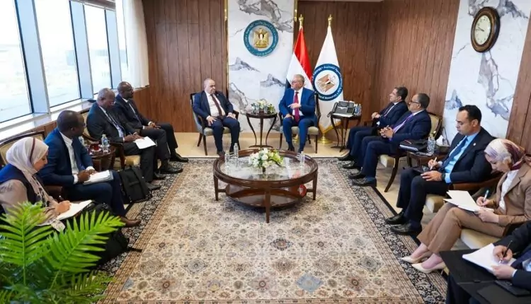 مصر تبحث سبل دفع التكامل الأفريقي في مجالات البترول والغاز