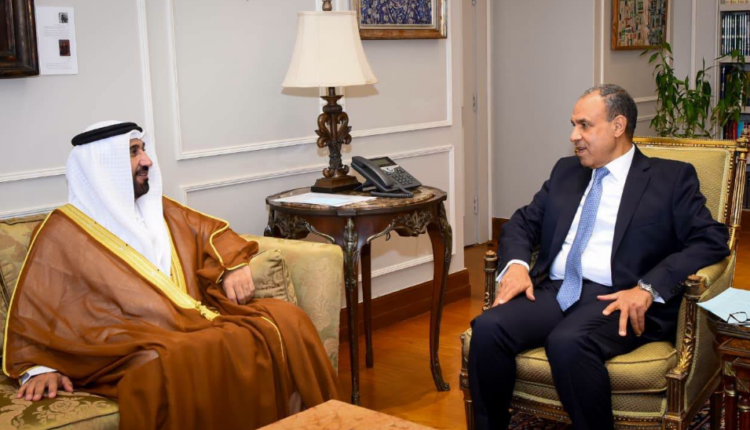 وزير الخارجية يؤكد أهمية تعزيز دور البرلمان العربي وتكامل مؤسسات العمل العربي المشترك