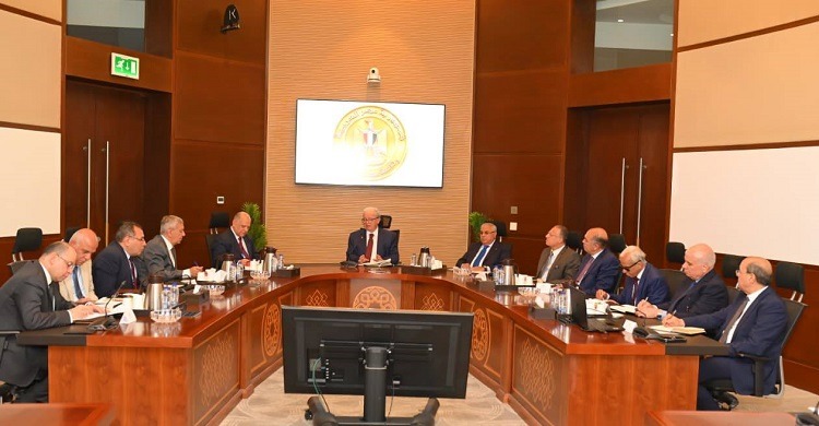 هاشم السيد: تسريع وتيرة تنفيذ برنامج الطروحات الحكومية