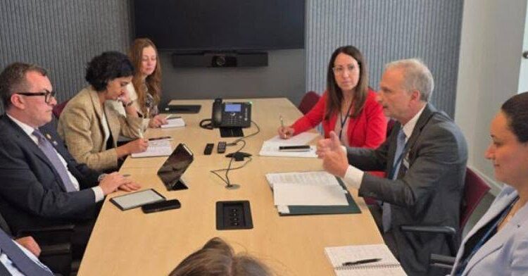 وزير التخطيط يبحث مع إيطاليا وتركيا تعزيز الحوكمة والتنافسية في إطار تعاون OECD