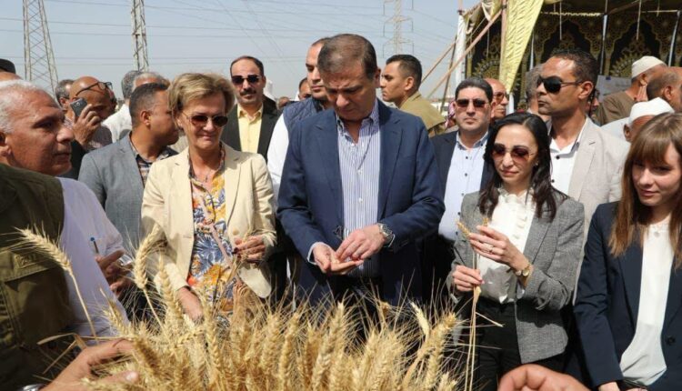 وزير الزراعة: الدولة المصرية تبنت مسارًا إصلاحيًا متكاملاً يوازن بين التوسع الأفقي العملاق والتوسع الرأسي