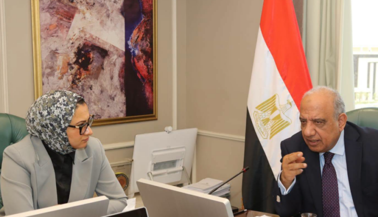 وزير الكهرباء: الوادي الجديد نموذج للاعتماد على الطاقة الشمسية في مشروعات التنمية