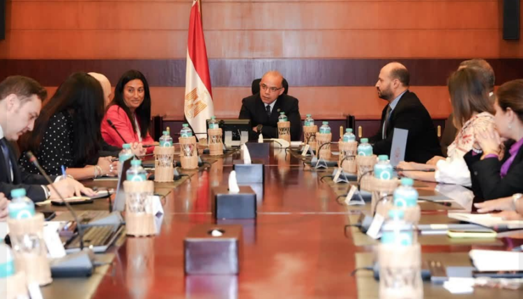 وزير الاستثمار يبحث مع حسن علام ورونيسانس التركية إنشاء مجمع طبي بالقاهرة